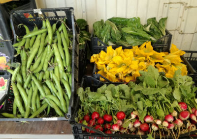 baccelli-ravanelli-fiori-zucchine